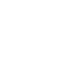 PLM